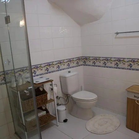 Luxury With Panoramic Sea View Villa Bodrum