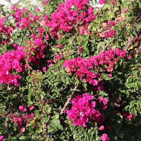 Villa Luxury With Panoramic Sea View