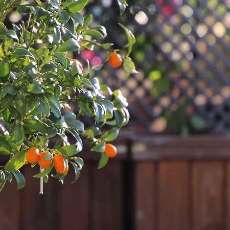 Luxury With Panoramic Sea View 빌라 *