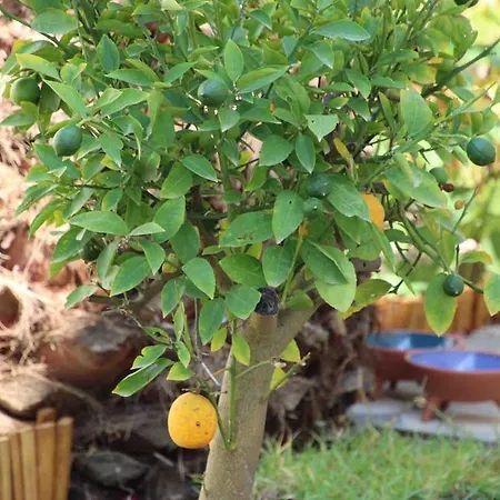 Luxury With Panoramic Sea View *