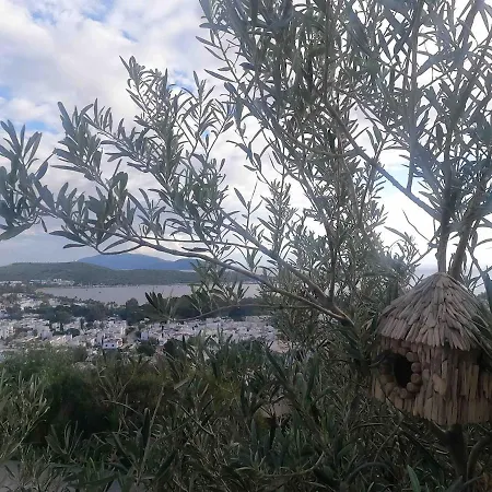 빌라 Luxury With Panoramic Sea View *