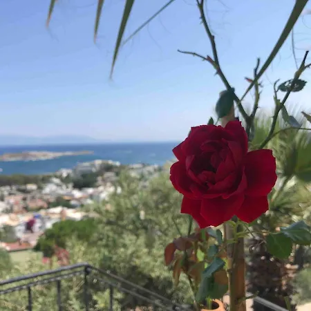 Willa Luxury With Panoramic Sea View