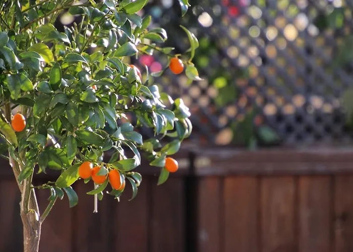 Luxury With Panoramic Sea View Вилла *