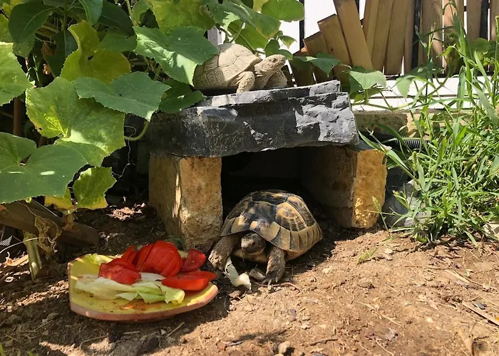 Luxury With Panoramic Sea View Бодрум